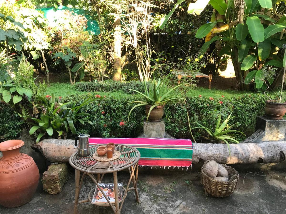바르칼라 Arabian Soul B&B 외부 사진